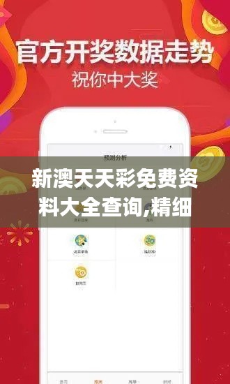 新澳天天彩免费资料大全查询,精细设计计划_尊享款9.859