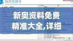 新奥资料免费精准大全,详细解读定义方案_VE版4.200