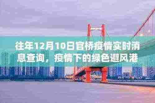 疫情下的绿色避风港，探寻官桥美景与内心宁静之旅的实时消息查询