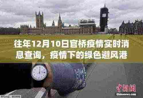 疫情下的绿色避风港,探寻官桥美景与内心宁静之旅的实时消息查询