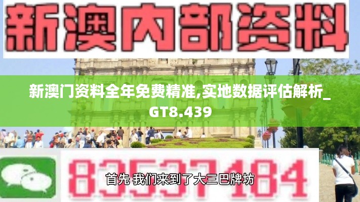 新澳门资料全年免费精准,实地数据评估解析_GT8.439