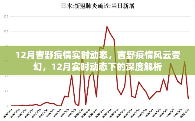 12月吉野疫情实时动态深度解析，风云变幻的疫情进展