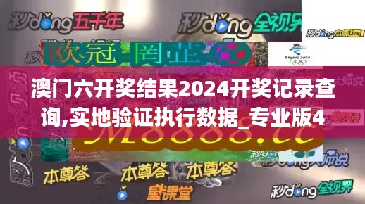 澳门六开奖结果2024开奖记录查询,实地验证执行数据_专业版4.533