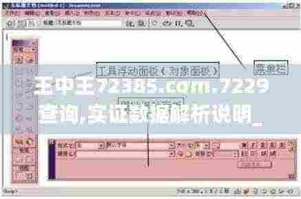 王中王72385.cσm.7229查询,实证数据解析说明_Pixel19.796
