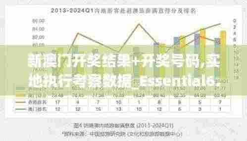 新澳门开奖结果+开奖号码,实地执行考察数据_Essential6.898