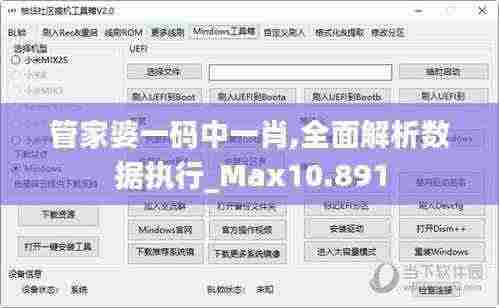 管家婆一码中一肖,全面解析数据执行_Max10.891