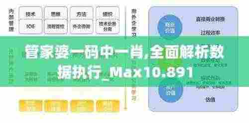 管家婆一码中一肖,全面解析数据执行_Max10.891