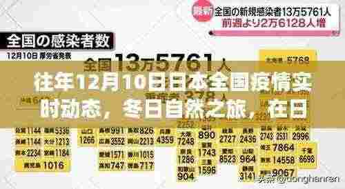 日本疫情动态下的冬日静谧之旅,寻找内心的平和与力量