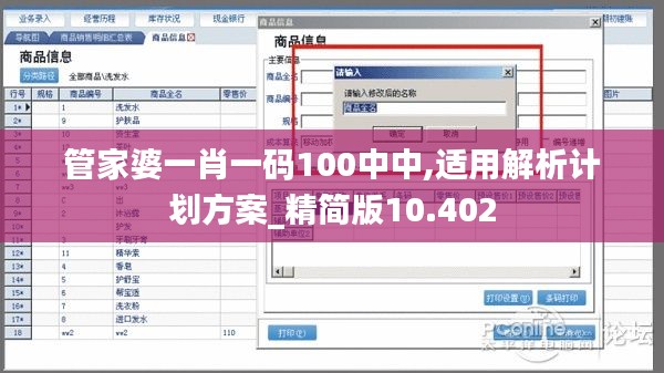 管家婆一肖一码100中中,适用解析计划方案_精简版10.402
