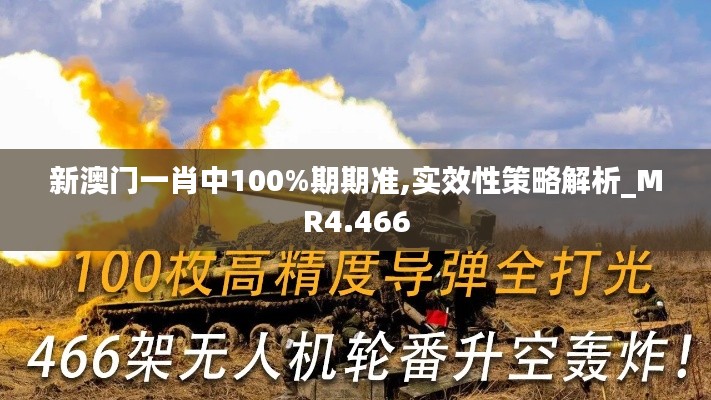 新澳门一肖中100%期期准,实效性策略解析_MR4.466