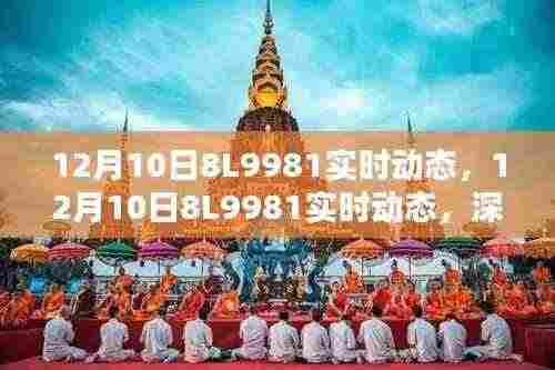 深度解析,关于某某观点的探讨——12月10日8L9981实时动态分析