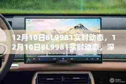 深度解析,关于某某观点的探讨——12月10日8L9981实时动态分析