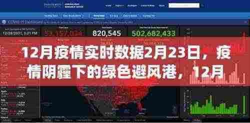 疫情阴霾下的绿色避风港，12月疫情实时数据与自然的治愈之旅（2月23日报道）