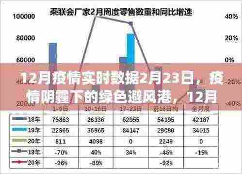 疫情阴霾下的绿色避风港,12月疫情实时数据与自然的治愈之旅(2月23日报道)