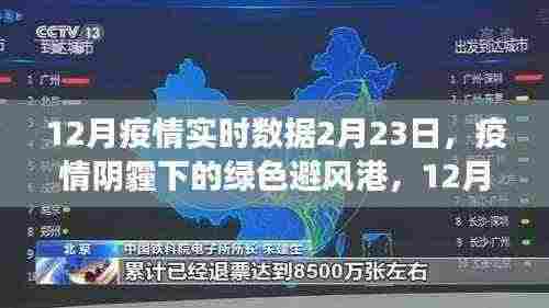 疫情阴霾下的绿色避风港,12月疫情实时数据与自然的治愈之旅(2月23日报道)