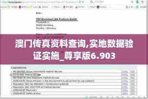 澳门传真资料查询,实地数据验证实施_尊享版6.903