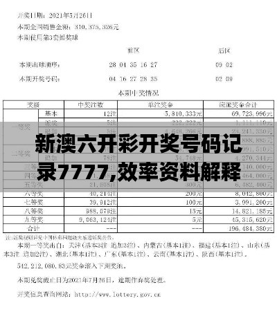 新澳六开彩开奖号码记录7777,效率资料解释定义_SE版8.202
