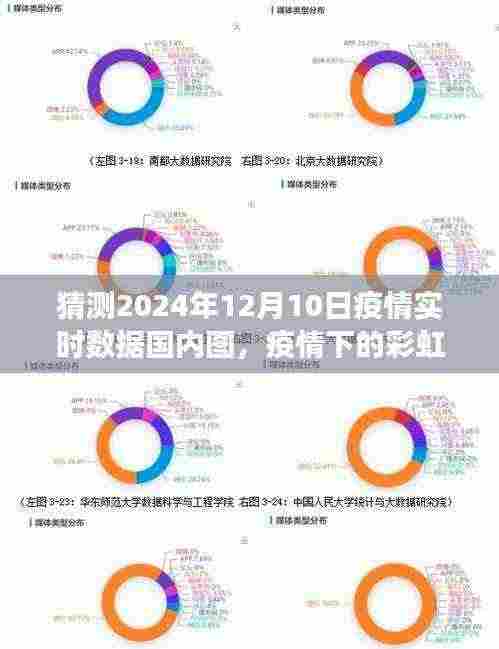 未来数据预测小故事,疫情下的彩虹桥,预测2024年疫情实时数据国内图揭秘