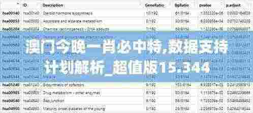 澳门今晚一肖必中特,数据支持计划解析_超值版15.344