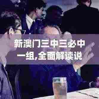 新澳门三中三必中一组,全面解读说明_限定版1.569