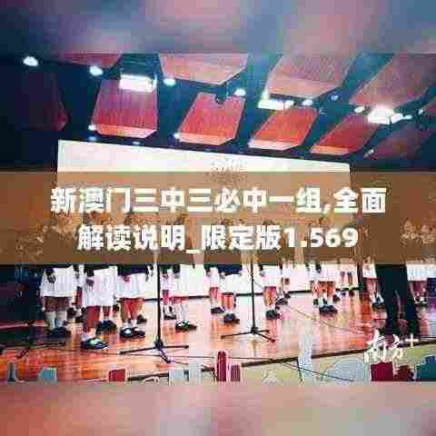 新澳门三中三必中一组,全面解读说明_限定版1.569