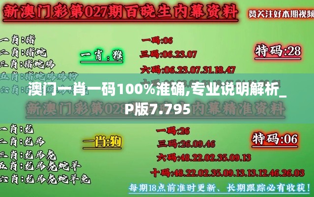 澳门一肖一码100%淮确,专业说明解析_P版7.795
