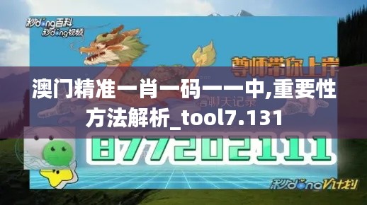 澳门精准一肖一码一一中,重要性方法解析_tool7.131
