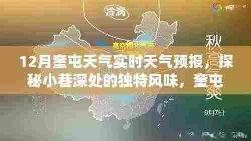 奎屯十二月天气实时预报,小巷深处的独特风味与隐藏式特色小店探秘