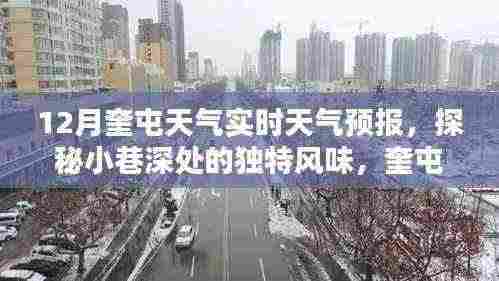 奎屯十二月天气实时预报,小巷深处的独特风味与隐藏式特色小店探秘