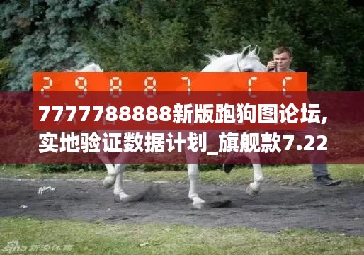 7777788888新版跑狗图论坛,实地验证数据计划_旗舰款7.220