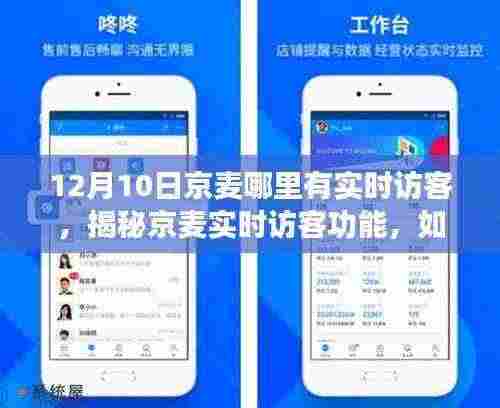 揭秘京麦实时访客功能,如何查看12月10日数据,初学者与进阶用户指南