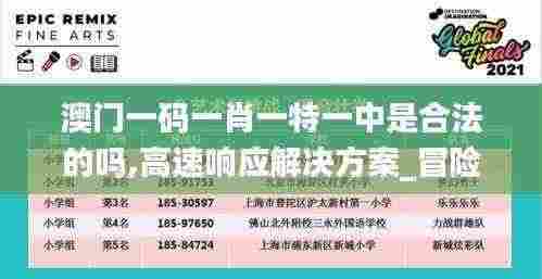 澳门一码一肖一特一中是合法的吗,高速响应解决方案_冒险款8.999