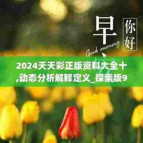 2024天天彩正版资料大全十,动态分析解释定义_探索版9.625