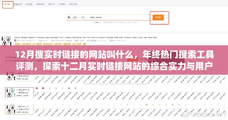 年终热门搜索工具大比拼,探索十二月实时链接网站的综合实力与用户体验洞察