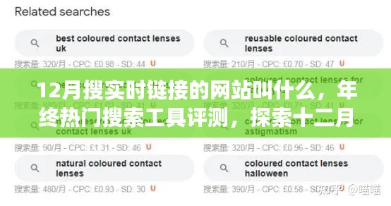 年终热门搜索工具大比拼，探索十二月实时链接网站的综合实力与用户体验洞察