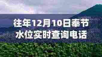 探秘小巷深处的神秘水位查询店，揭秘奉节水位实时查询专线背后的故事与往年查询电话记录