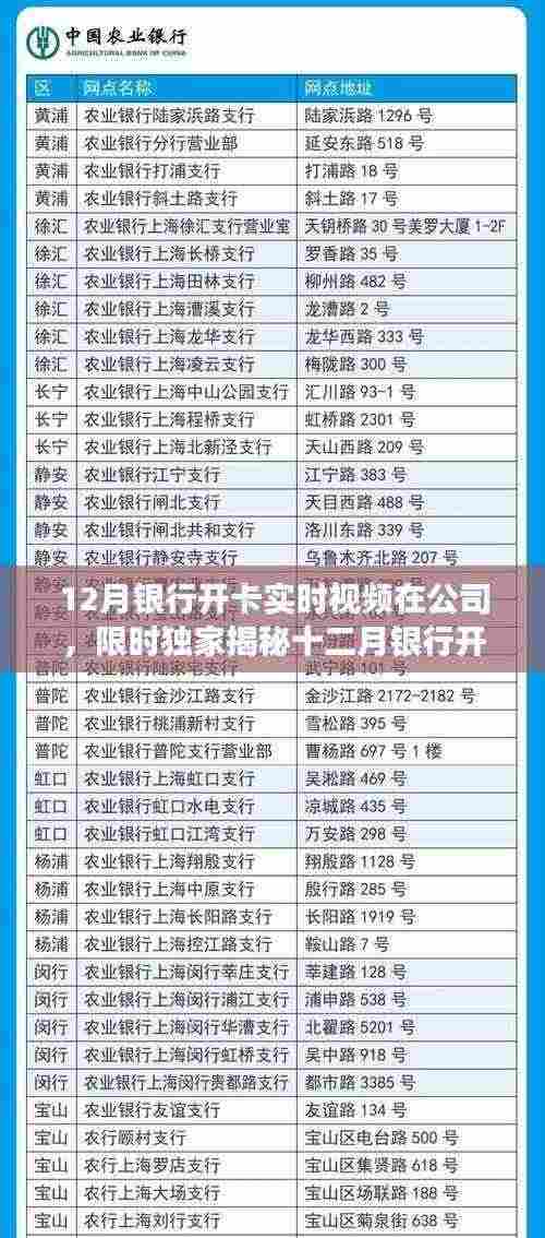 独家揭秘，十二月银行开卡现场实时记录，直击公司办卡第一线！