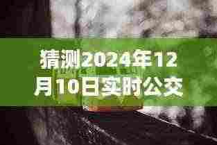 探寻自然秘境，公交116路的心灵之旅启程，预测2024年12月10日实时体验