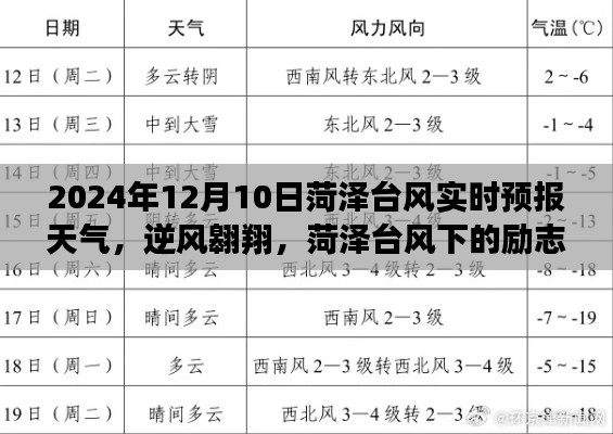 逆风翱翔,菏泽台风下的励志篇章——2024年12月10日菏泽台风实时天气预报
