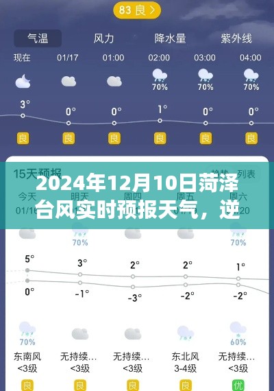 逆风翱翔,菏泽台风下的励志篇章——2024年12月10日菏泽台风实时天气预报