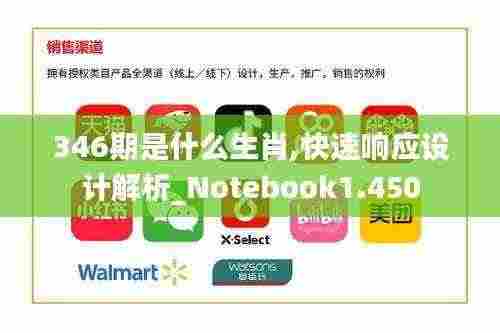 346期是什么生肖,快速响应设计解析_Notebook1.450