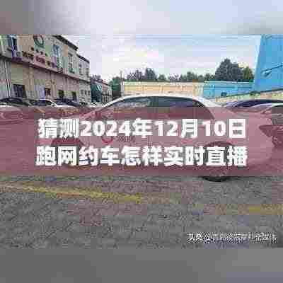 跟随网约车直播,探秘自然美景之旅,体验宁静与自由的直播之旅(2024年12月10日实时直播)
