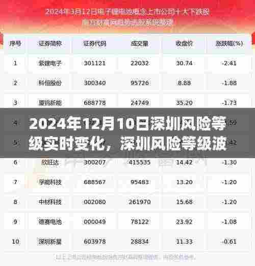 2024年12月10日深圳风险等级实时变化与波动洞察