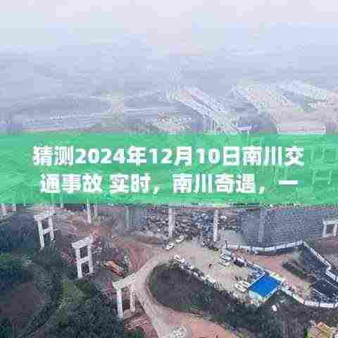 南川奇遇,友情与时光的日常故事与交通事故预测实时报道