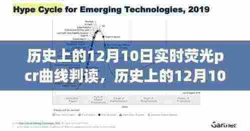 历史上的12月10日,实时荧光PCR曲线判读的深度探讨与实时更新