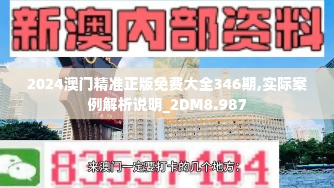 2024澳门精准正版免费大全346期,实际案例解析说明_2DM8.987
