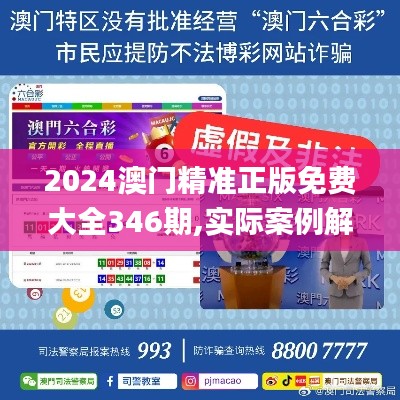 2024澳门精准正版免费大全346期,实际案例解析说明_2DM8.987