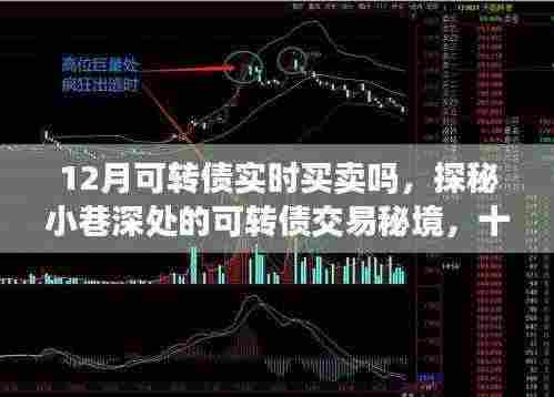 探秘十二月可转债实时买卖的乐趣之旅,小巷深处的交易秘境揭秘。