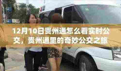 贵州通实时公交之旅，探寻公交的奇妙时光（12月10日指南）