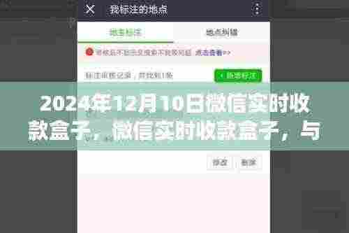 微信实时收款盒子,与自然美景的邂逅之旅启程!